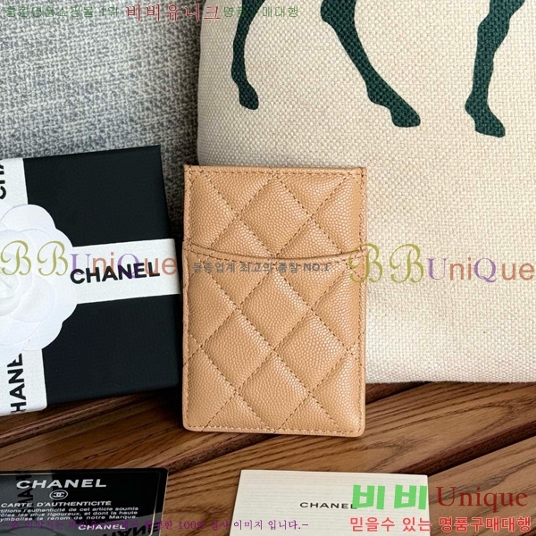 #���� Ŭ���� ī�� Ȧ�� AP0223-101