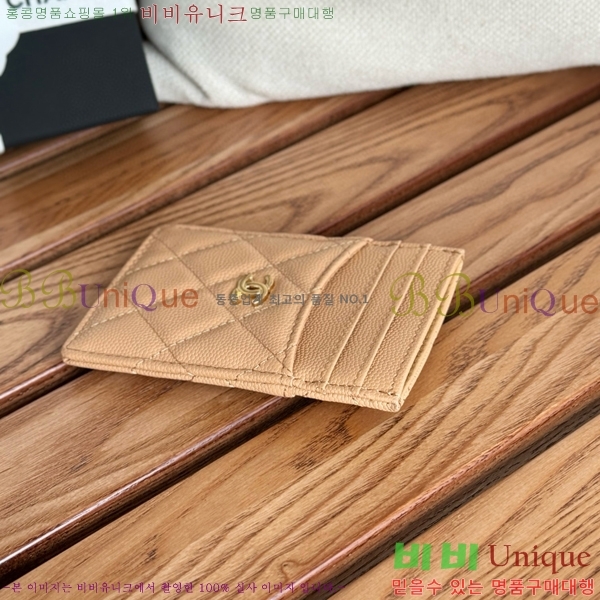 #���� Ŭ���� ī�� Ȧ�� AP0223-101