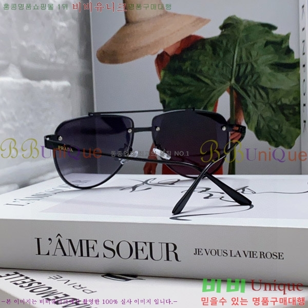 ����� ���۶� P2819065-5