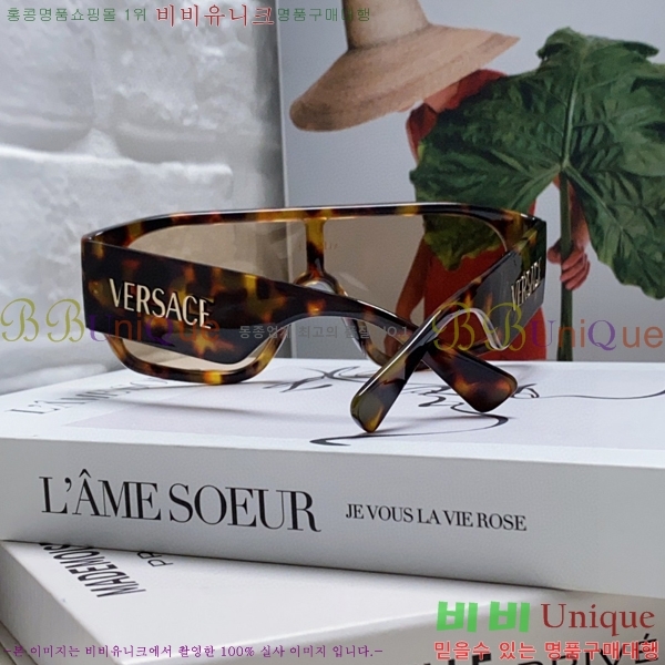 ������ü ���۶� VE102296-3