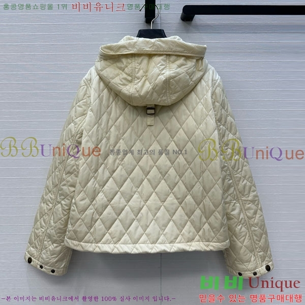 ���� ������ �е� ���� BU61211203-1