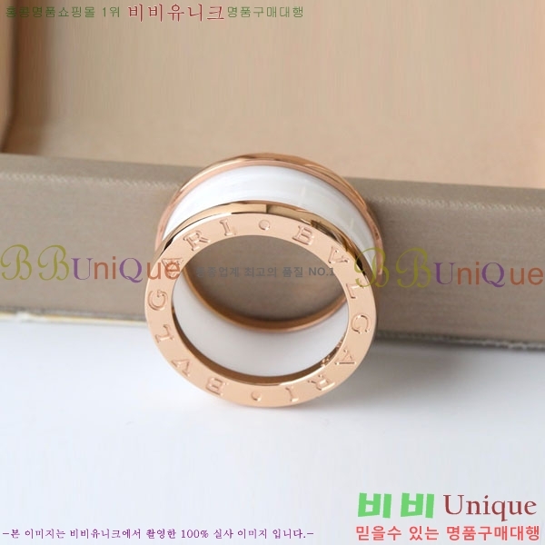 �Ұ��� ���� BVLG08670-5