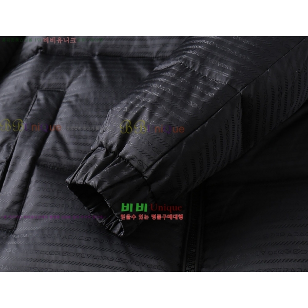 ���� ����� �ٿ� �е� PA253648