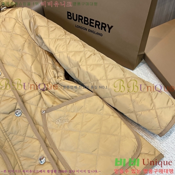 ���� ������ �ٿ� �е� BU2536219-1