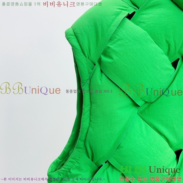 ���� ���װ�����Ÿ �ٿ� �е� ���� BV1562168