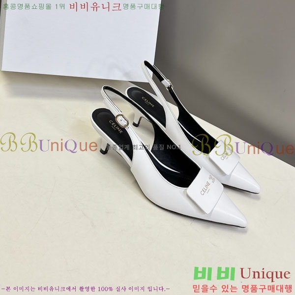 ������ ������ ���� CE2577701-1