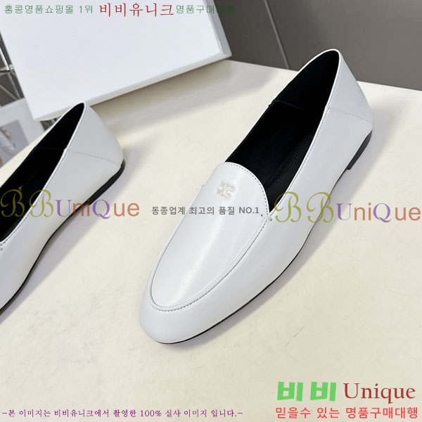 ������ Ŭ���� ����  CE256089-1