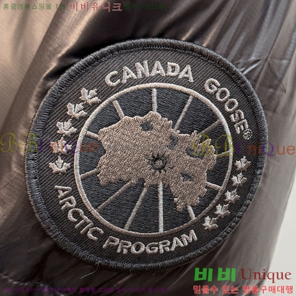 ���� ĳ���ٱ��� �ٿ� �е� CAG157493-2