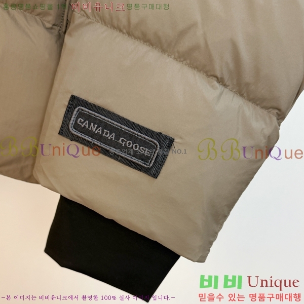 �������� ĳ���ٱ��� �ٿ� �е� CAG215558-1