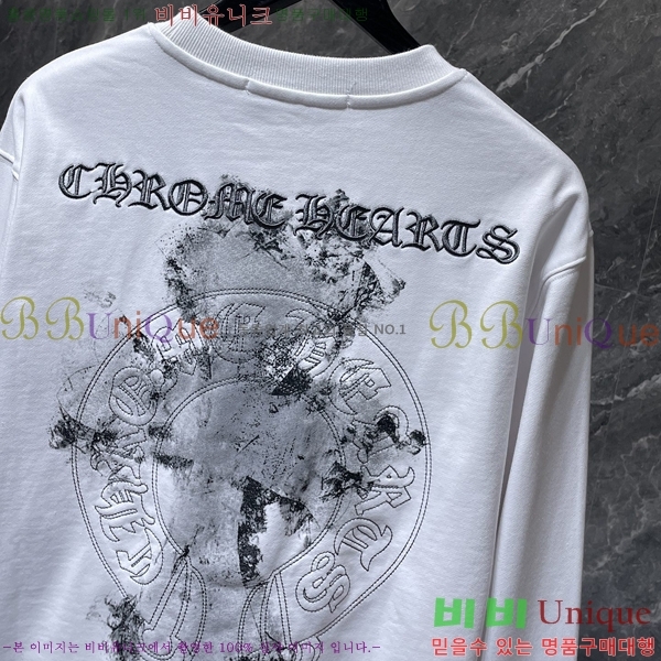 ���� ũ������ ������ CH8666-1