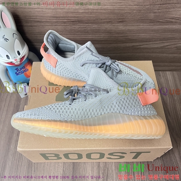 �Ƶ�ٽ� �����ν�Ʈ 350 AD52621066-15