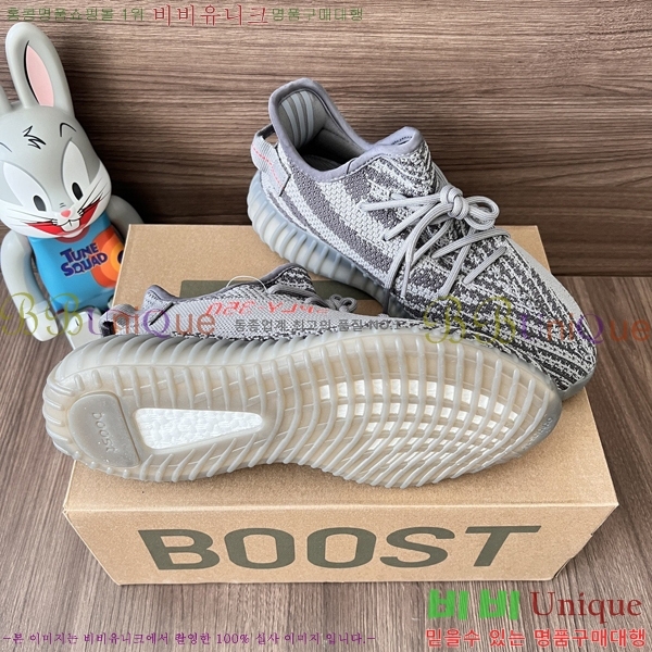 �Ƶ�ٽ� �����ν�Ʈ 350 AD52621066-4