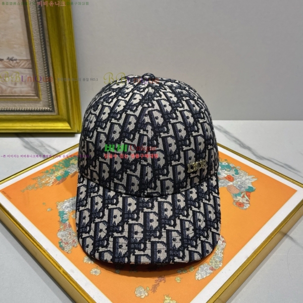 ��� ���� ��ĸ DR2631893-1 ����