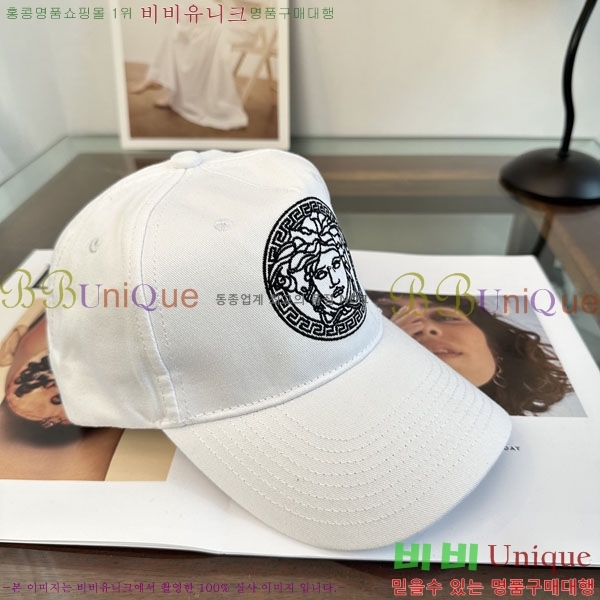 ����*ü ���� V86421-2