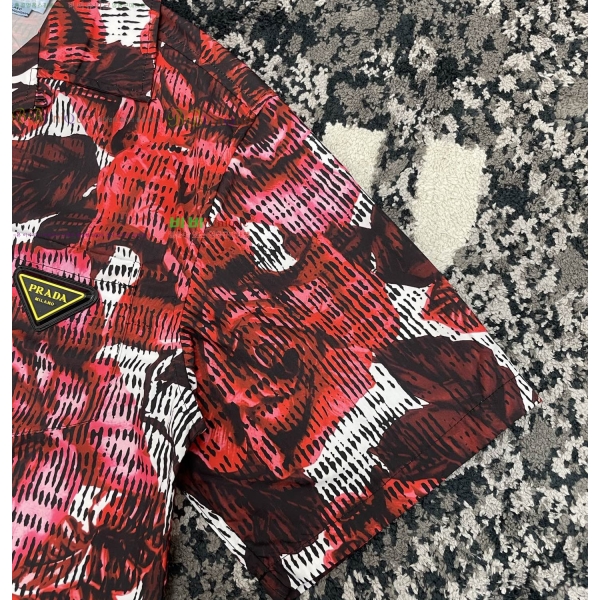 ���� ����� ���� ���� P8765038